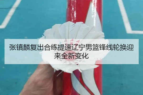 张镇麟复出合练提速辽宁男篮锋线轮换迎来全新变化